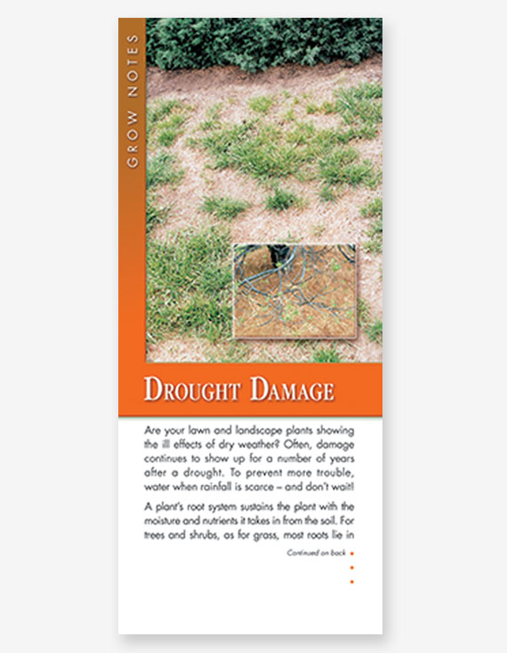 #322 - Drought Damage Grow Note