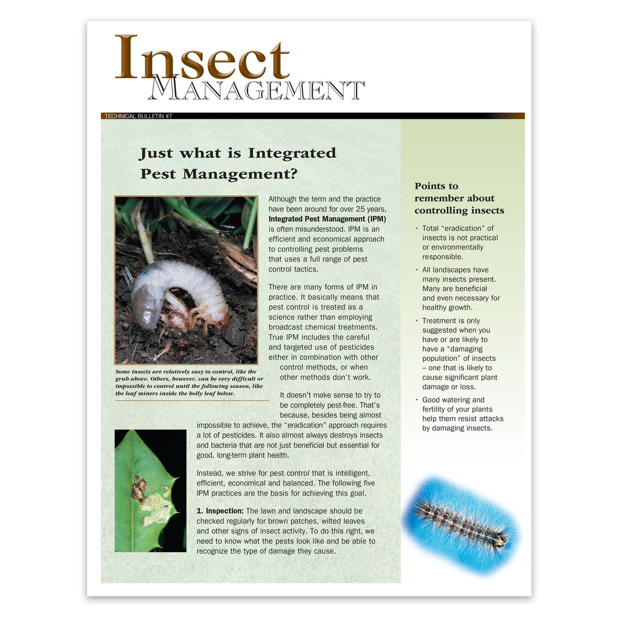 Lab 257 Insects #257 - Insect Management Bulletin – Focal Point Communications - Growpro