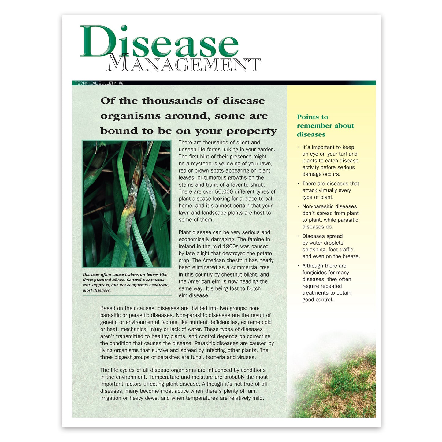 #258 - Disease Management Bulletin