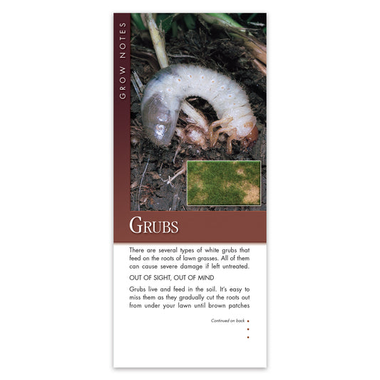 #302 - Grubs Grow Note