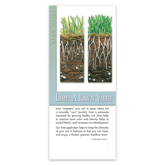 #305 - Lime Grow Note