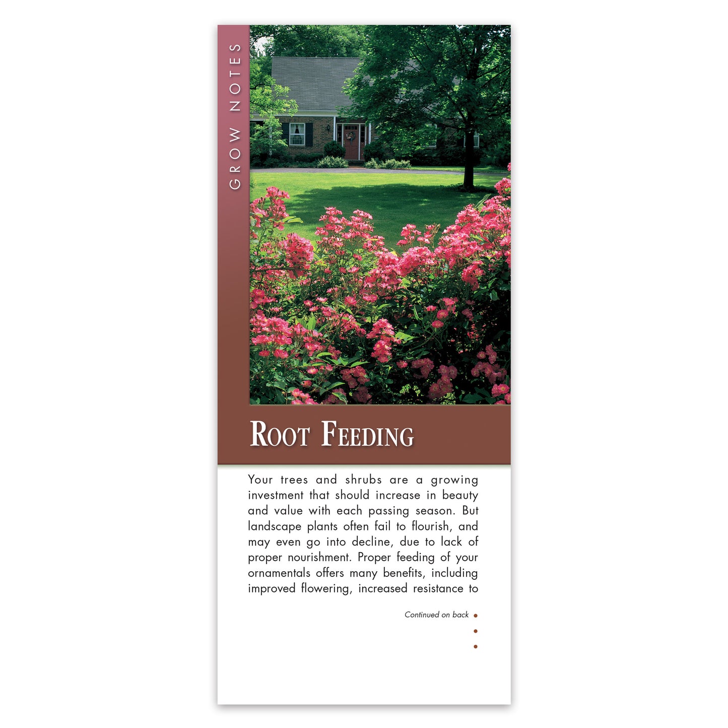 #307 - Root Feeding Grow Note