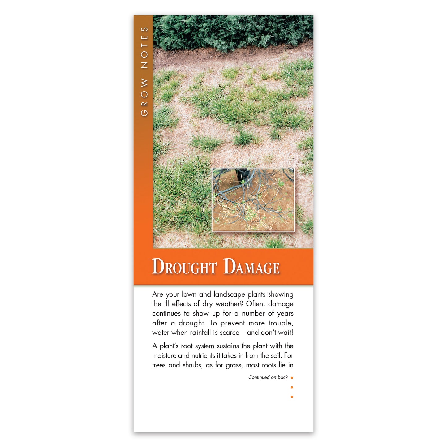 #322 - Drought Damage Grow Note