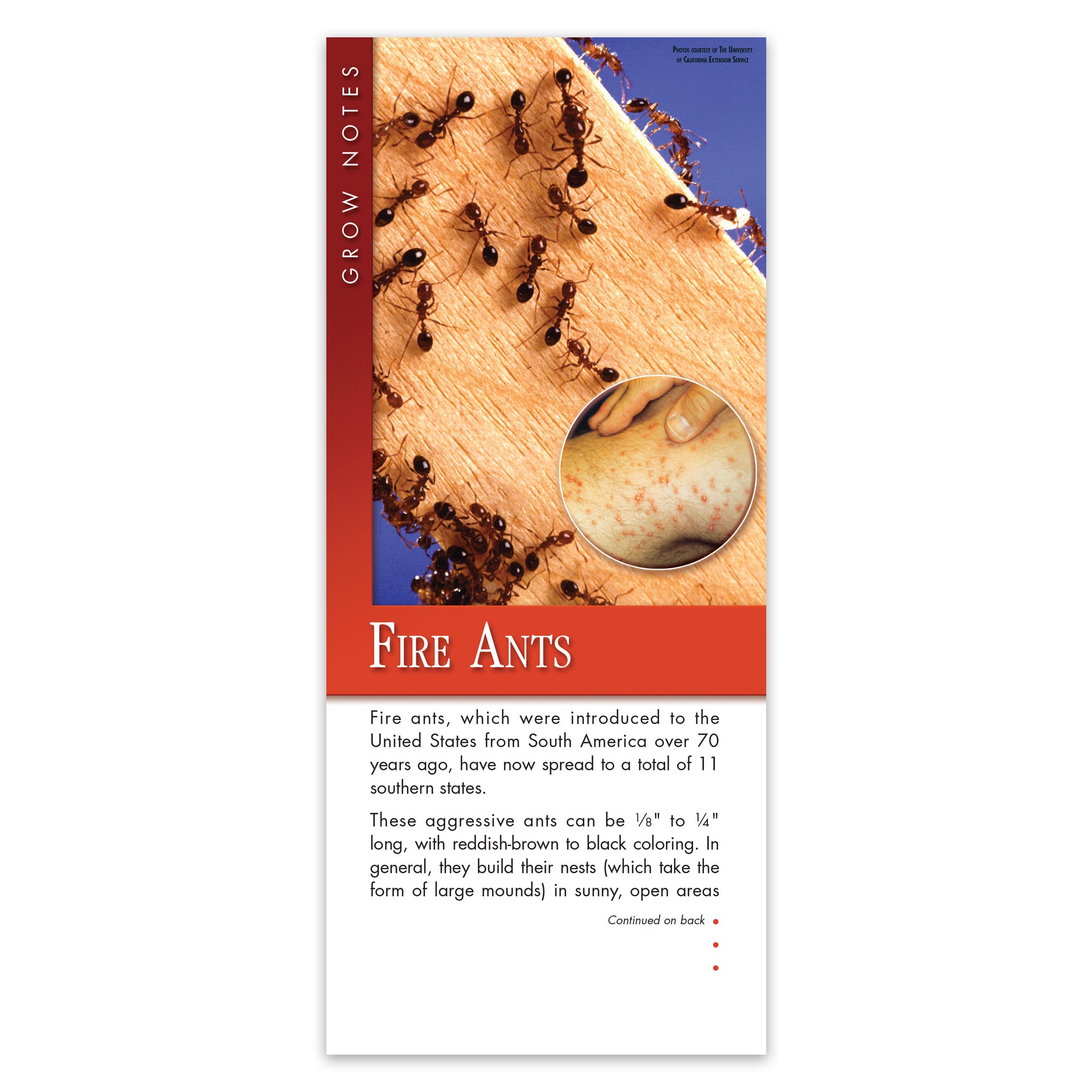 #331 - Fire Ants Grow Note – Focal Point Communications - Growpro