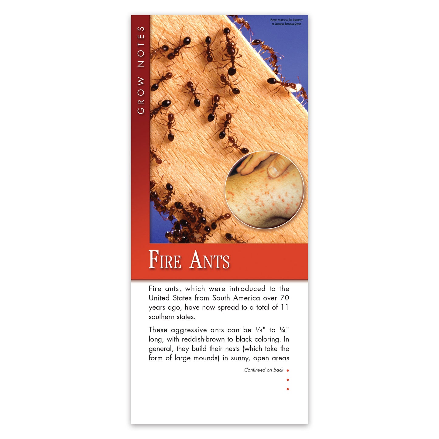 #331 - Fire Ants Grow Note