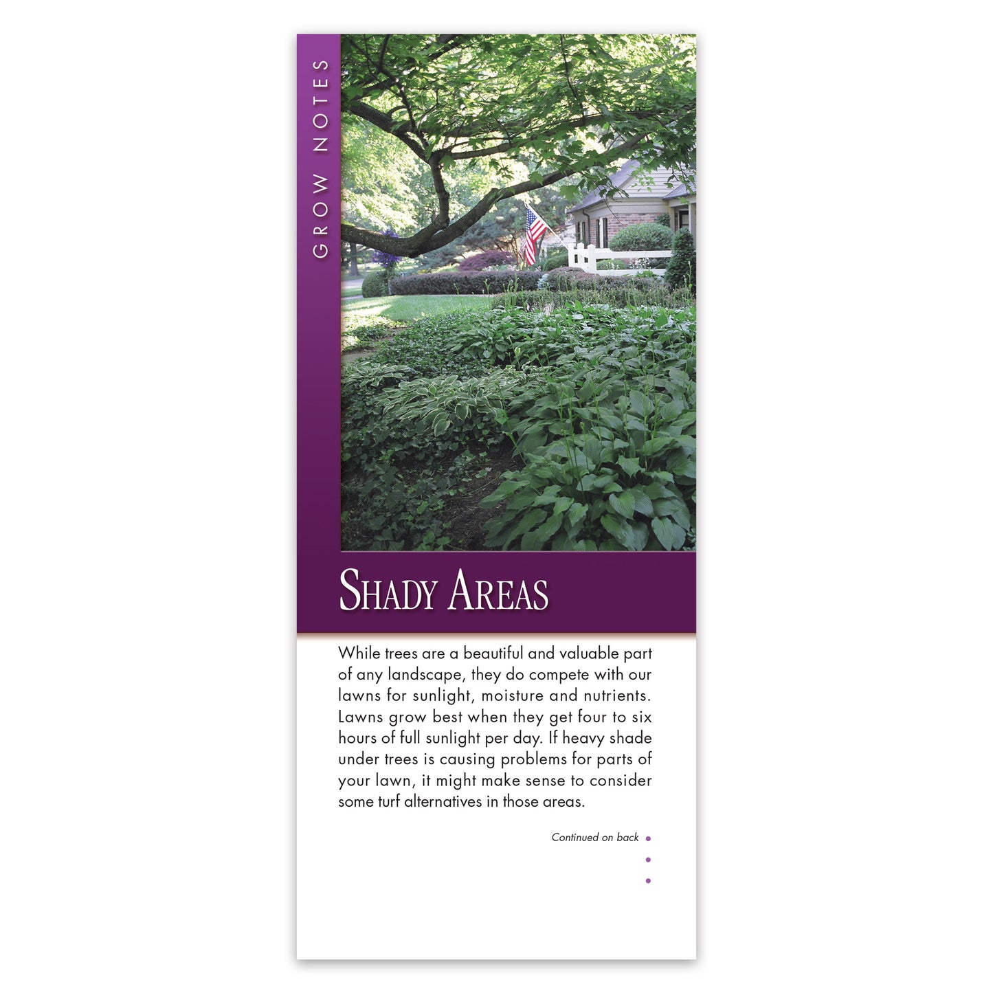 #335 - Shady Areas Grow Note