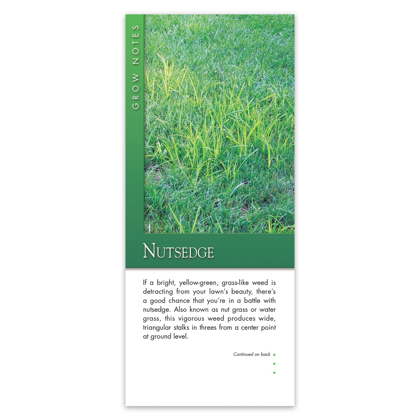#339 - Nutsedge Grow Note