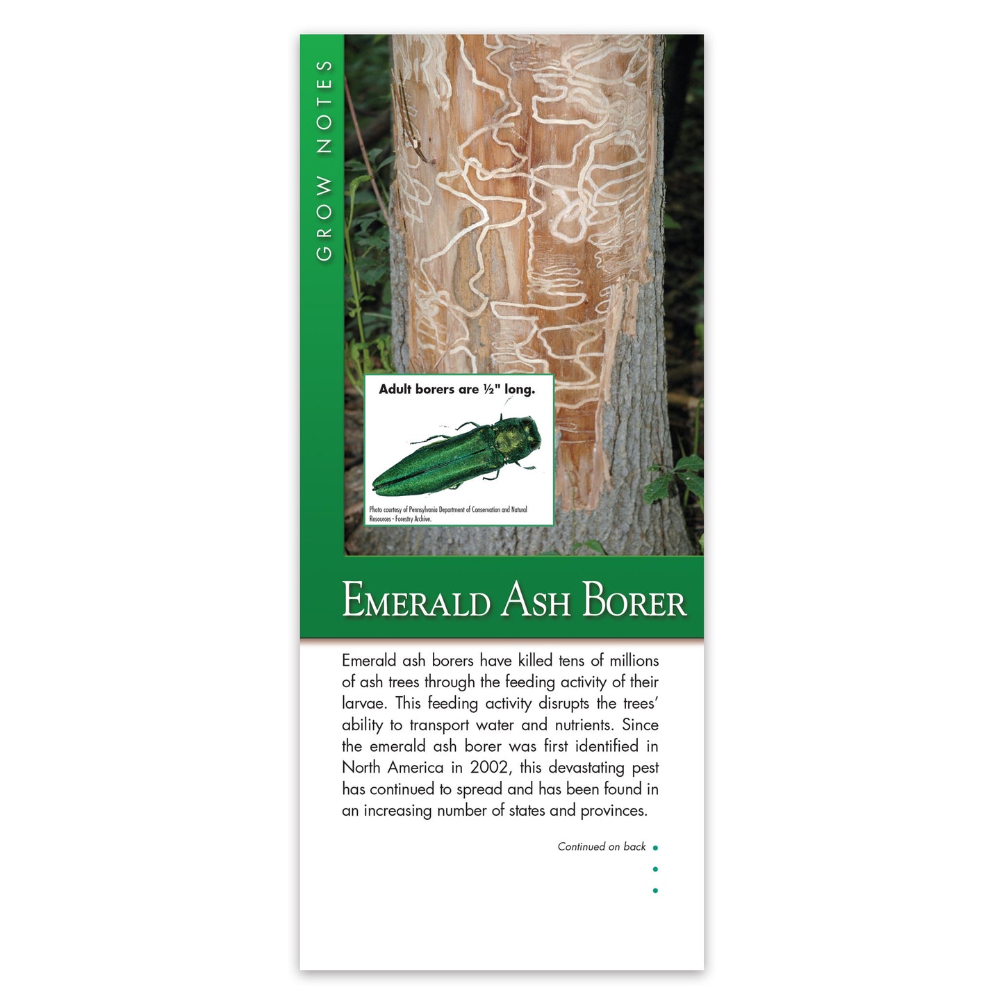 #343 - Emerald Ash Borer Grow Note