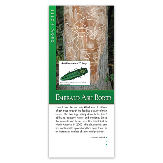 #343 - Emerald Ash Borer Grow Note